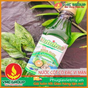 NƯỚC CỐT TRÁI CÂY CÔ ĐẶC VỊ ỔI MẬN – CHAI 1000GRAM – MALAYSIA