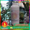HƯƠNG GỪNG - GINGER FLAVOUR DẠNG NƯỚC